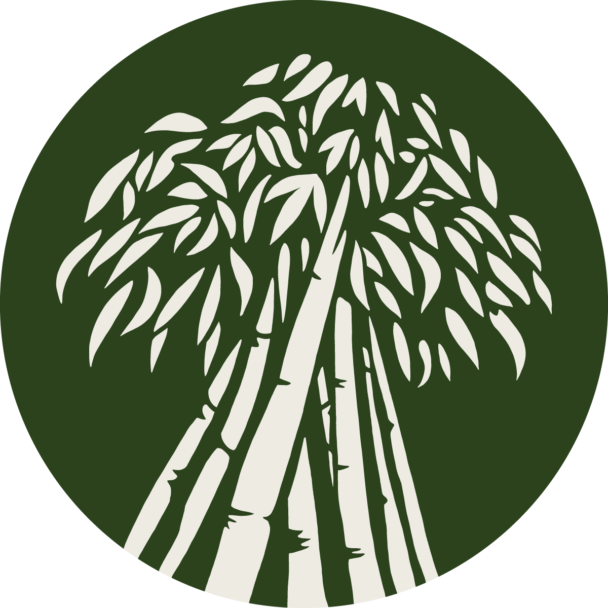 YBLL Logo